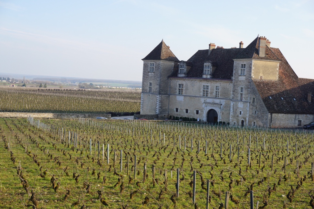Wine tasting in Burgundy